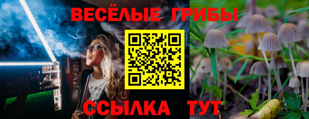 Галлюциногенные грибы GOLDEN TEACHER  Галлюциногенные грибы Cubensis  Вход с VPN  Калуга 